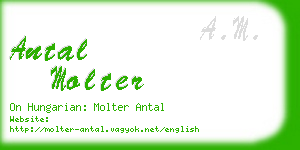 antal molter business card